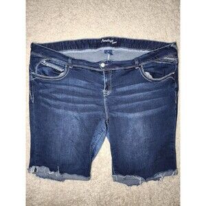 Amethyst Women’s Jean Shorts Size 24 Mid Rise Blue Denim Summer Casual